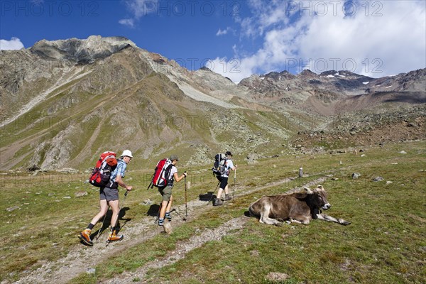 Hikers on their way to the Similaunhuette mountain shelter in the Schnalstal valley