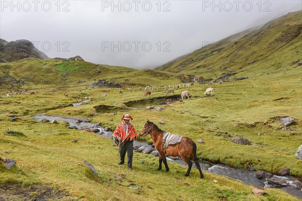 Indio mountain guide with colourful poncho with horse