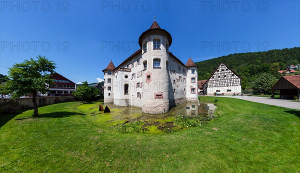 Moated Castle of Glatt