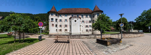 Moated Castle of Glatt