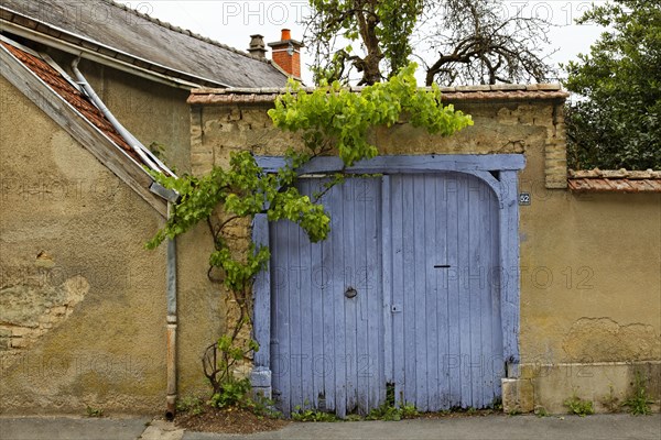 Old gate