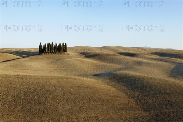 Crete Senesi