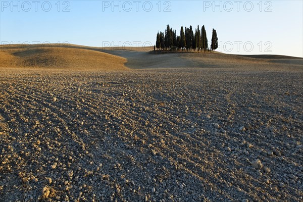 Crete Senesi