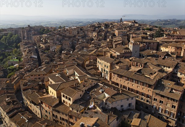 View from Torre del Mangia