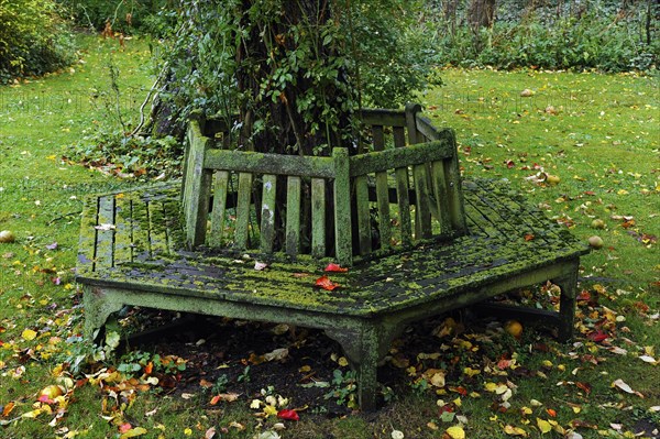 Moss-covered hexagonal bench around an apple tree in autumn