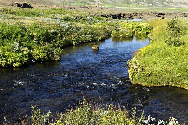 Creek in Sprengisandur landscape