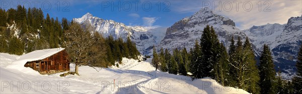 Mountain chalet in winter looking towards Wetterhorn mountain