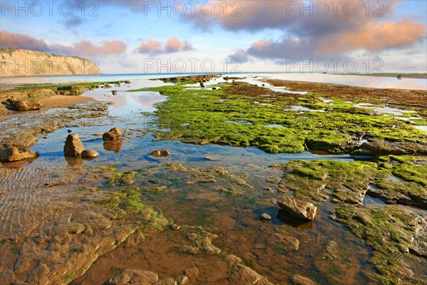 Rock pools on the beach of the historic fishing village of Robin Hood's Bay