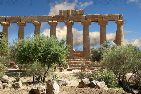 Greek Temple of Juno Lacina