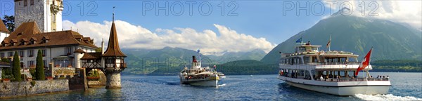 Ferries at Schloss Oberhofen Castle