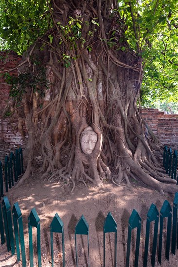 Sandstone head of a Buddha statue