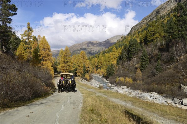 Horse-drawn carriage