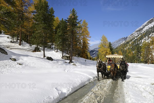 Horse-drawn carriage