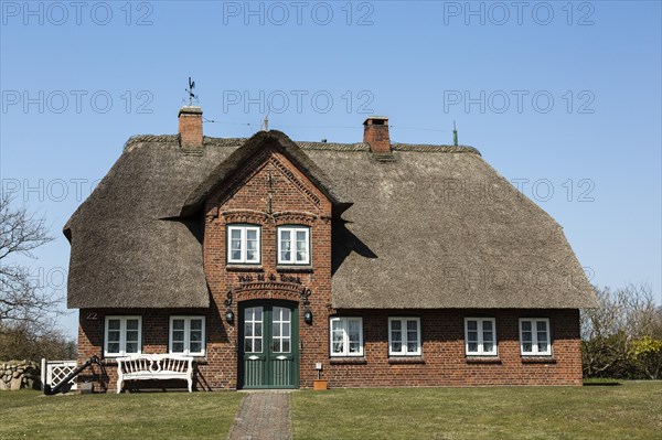 Thatched cottage