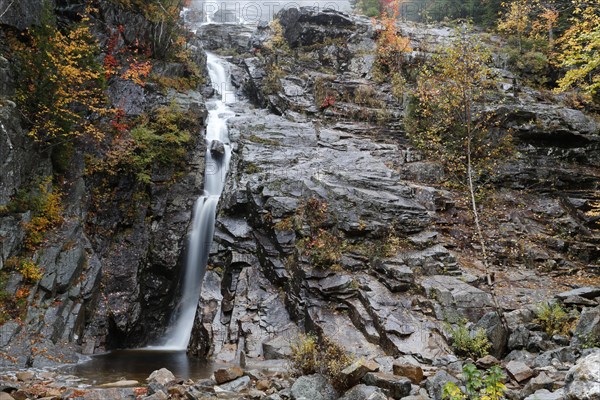 Silver Cascade