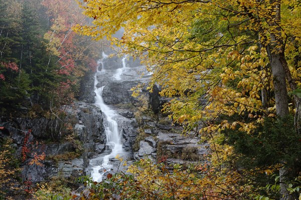 Silver Cascade