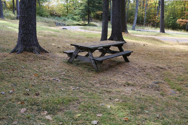 Picnic table