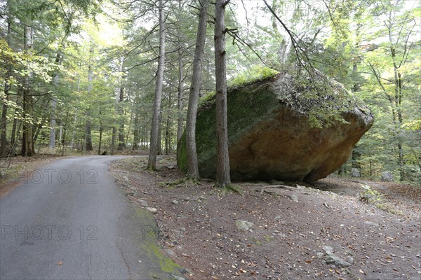 Glacial boulder