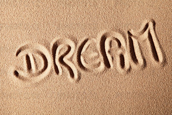 The word DREAM