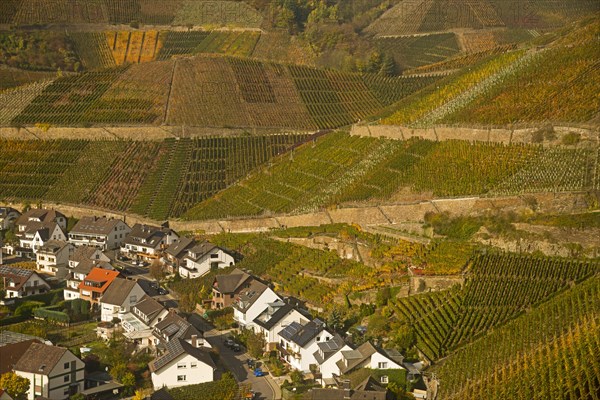 Wine village of Dernau an der Ahr