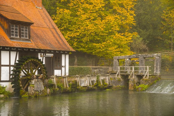 Mill on the Blautopf pond