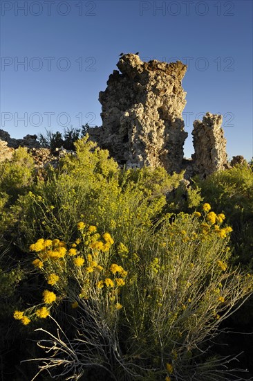 Tufa Rocks