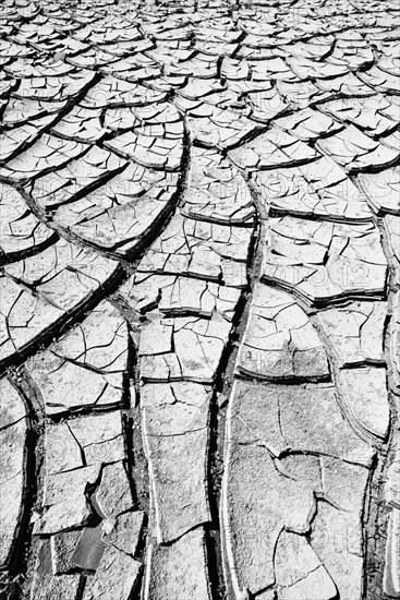 Cracked mud in a dried up water hole