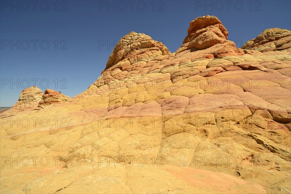 Brain Rocks of the Coyote Buttes South CBS