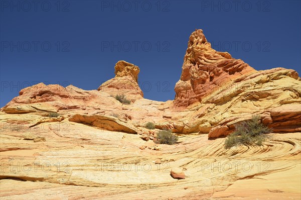 Brain Rocks of the Coyote Buttes South CBS