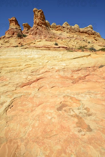 Brain Rocks of the Coyote Buttes South CBS