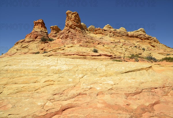 Brain Rocks of the Coyote Buttes South CBS