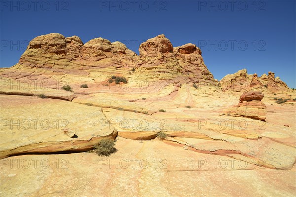 Brain Rocks of the Coyote Buttes South CBS