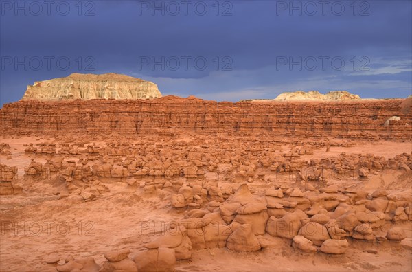 Wild Horse Mesa