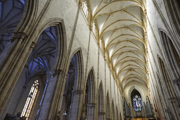 View of the vaulted ceiling in the nave