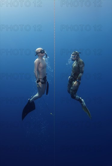 Freedivers