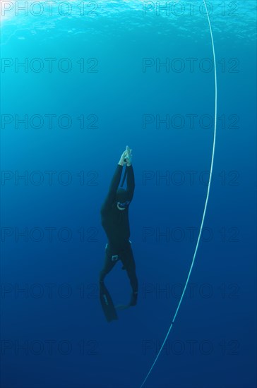 Freediver