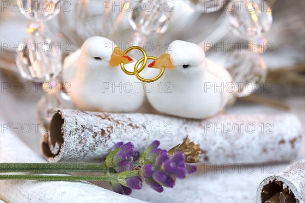 Wedding birds