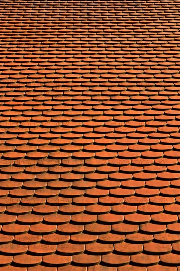 Beavertail roof tiles