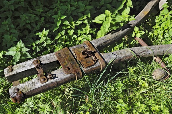 Old wagon tongue and stinging nettles