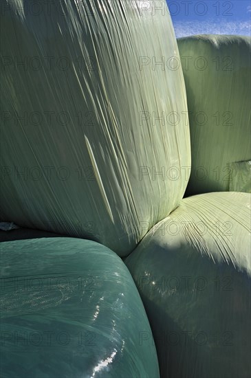 Hay bales wrapped in green plastic sheeting