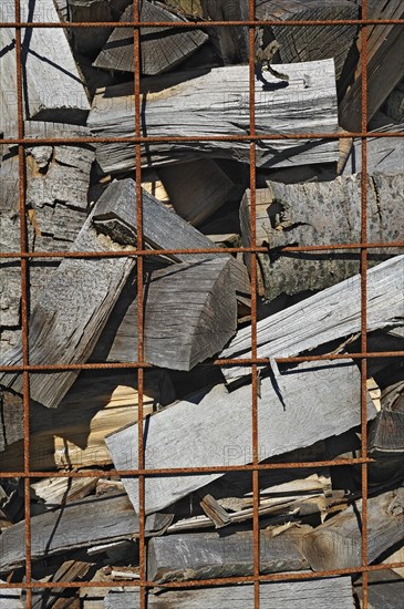 Beech logs behind reinforcement lattice