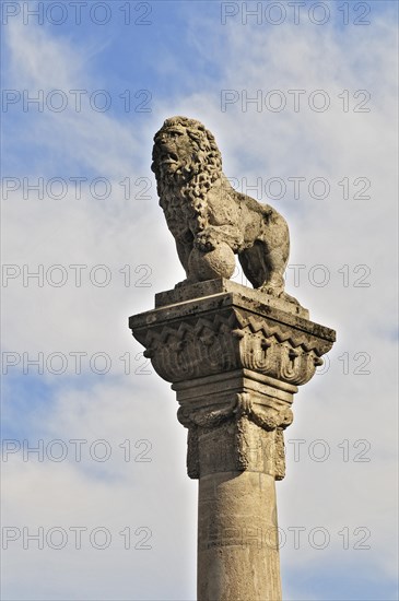 Lion pillar on Cathedral Square