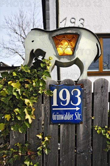 Lantern shaped like an elephant with ivy (Hedera) on a fence