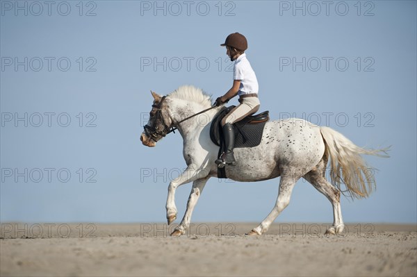 Child riding a horse on the beach