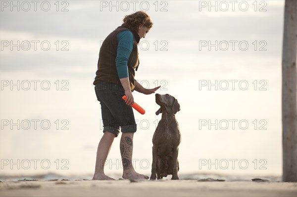 Woman with a Weimaraner on the beach