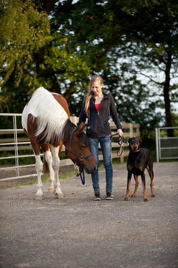 Girl with a horse and a Doberman