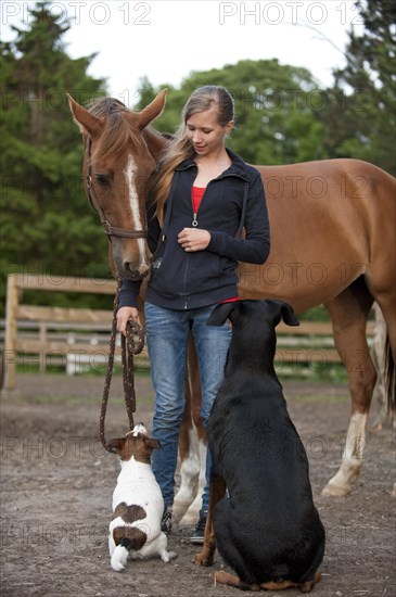 Girl with a horse and dogs