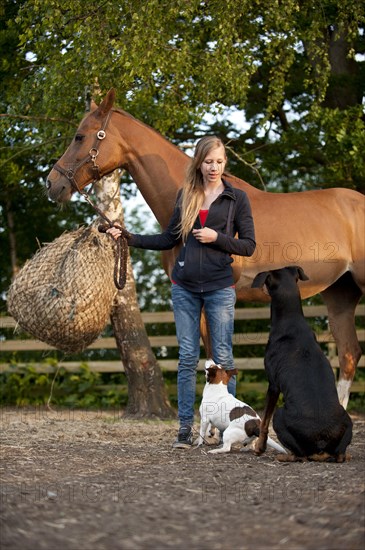 Girl with a horse and dogs