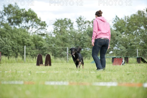 Woman longeing a mixed-breed dog