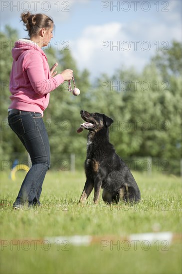 Woman longeing a mixed-breed dog